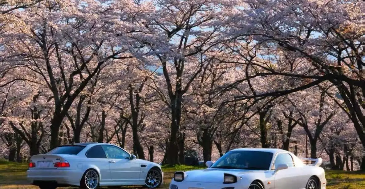 Cheap JDM Car Tour Tokyo: Budget Daikoku PA Rides